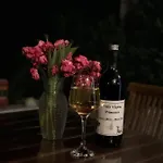 Vlajina アパート *