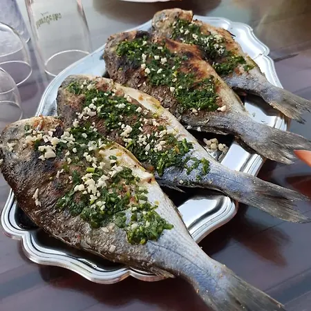 Vlajina プリモシュテン