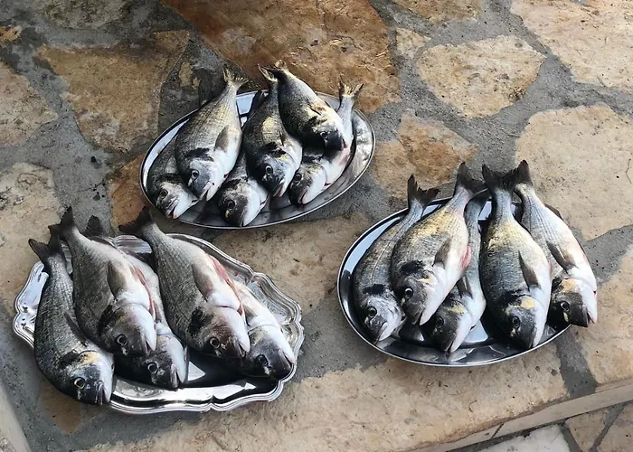 Διαμέρισμα Vlajina *